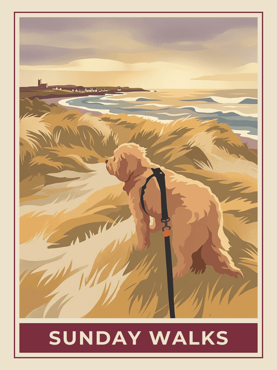 Vintage travel poster of a dog on a coastal clifftop walk, Golden Hour mood. RetroRoam.